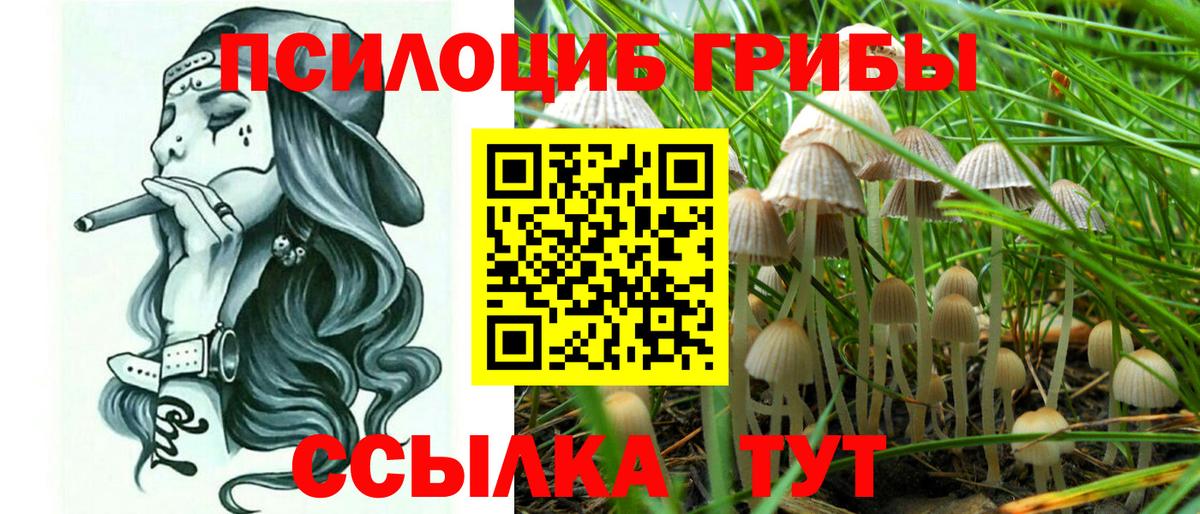 Галлюциногенные грибы мухоморы Азнакаево
