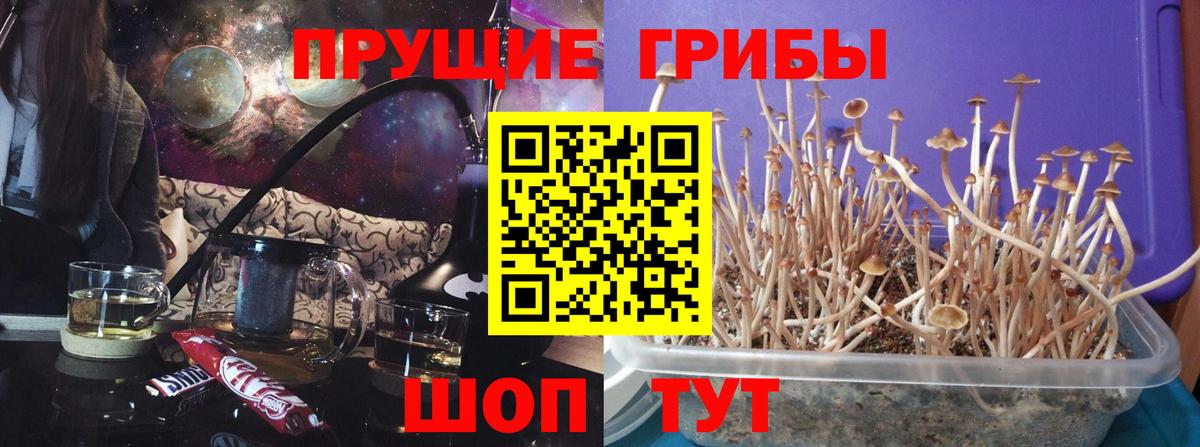 Галлюциногенные грибы мухоморы  Вход с VPN  Азнакаево 